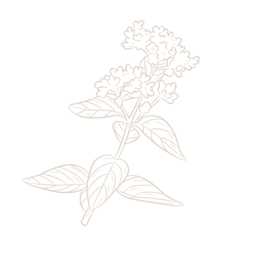 hero flower image